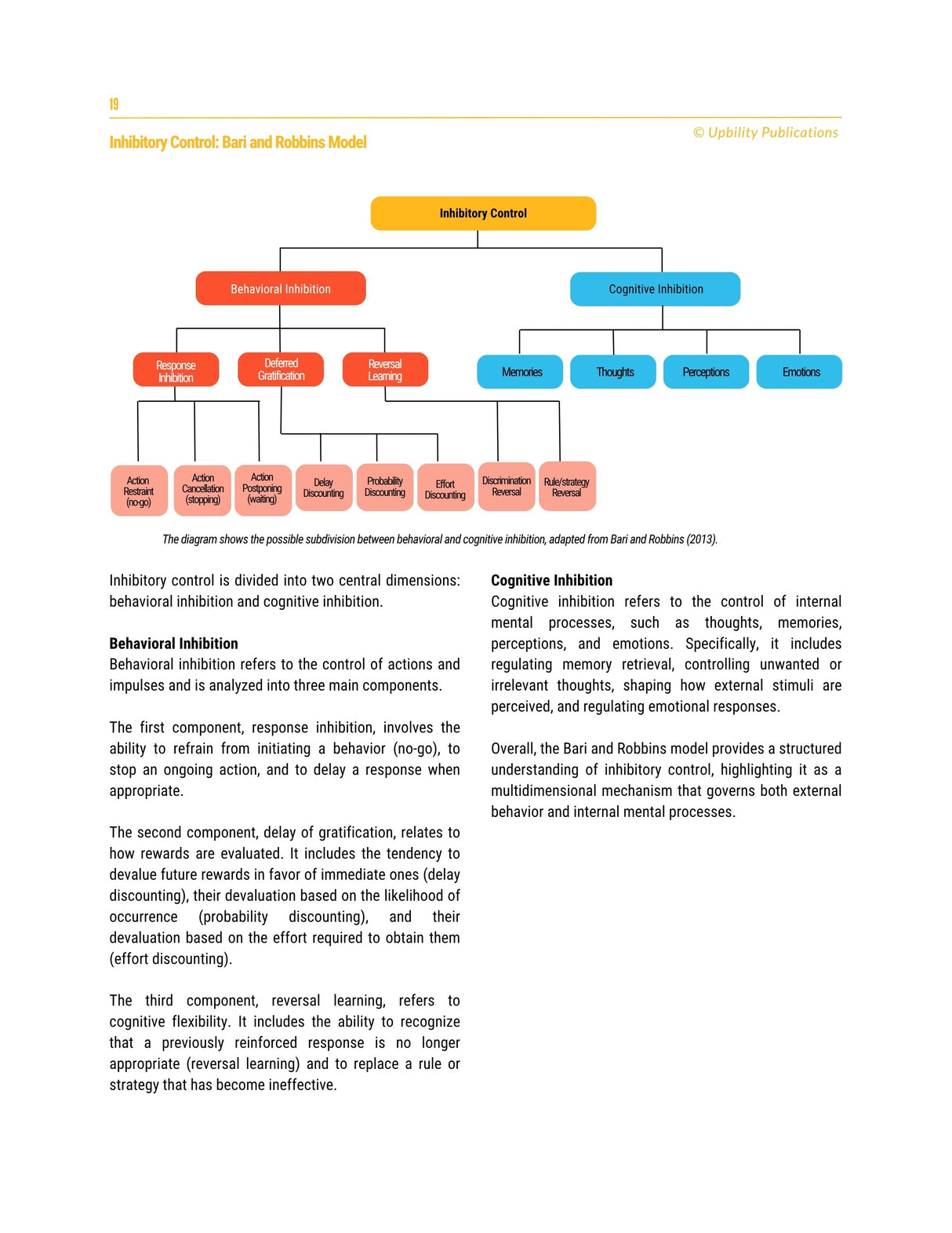 Executive Functions - Intervention Strategies | 12-18 years old