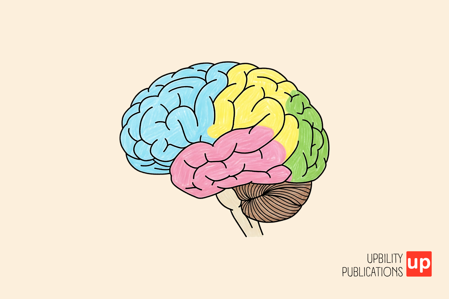 What Side of the Brain Do Dyslexics Use? Understanding the Differences