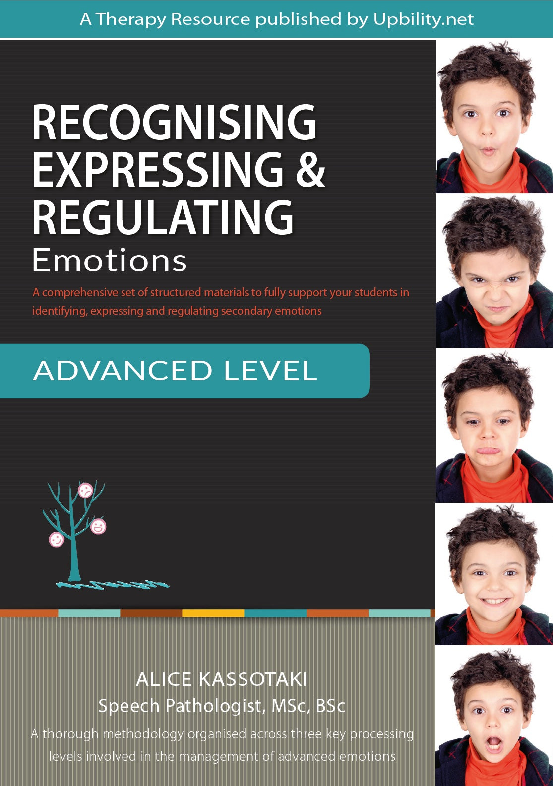 Recognising, Expressing & Regulating Emotions | ADVANCED LEVEL