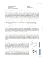 Dysphagia Therapy: Techniques, Tools, and Therapeutic Plans
