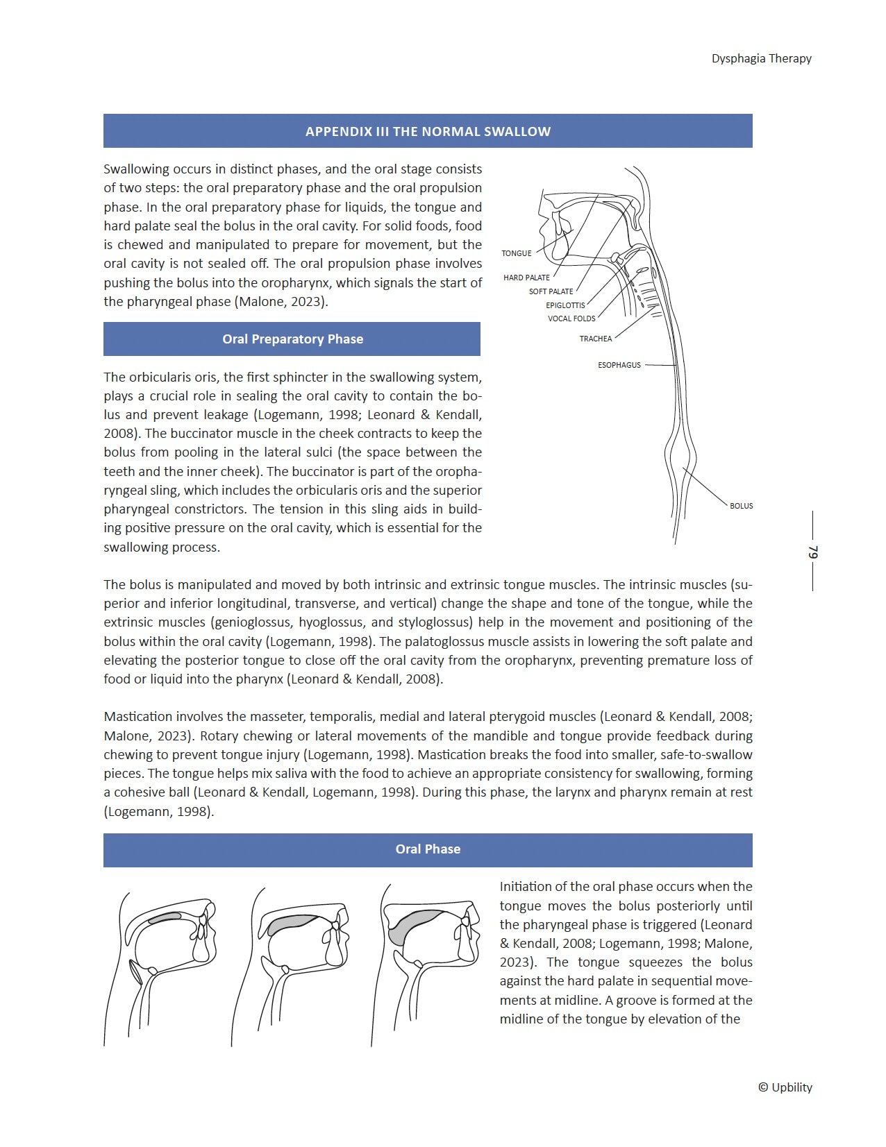 Dysphagia Therapy: Techniques, Tools, and Therapeutic Plans