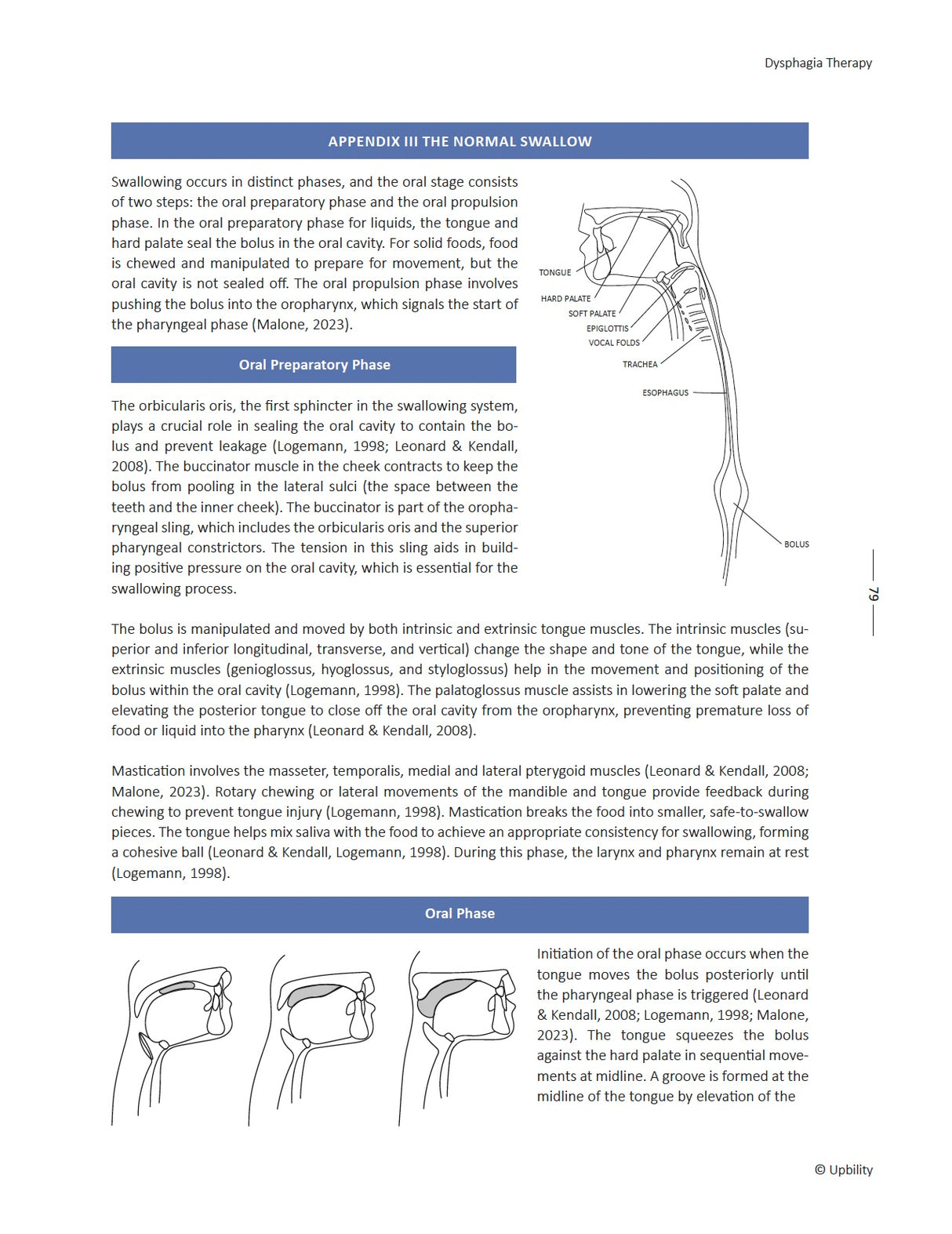 Dysphagia Therapy: Techniques, Tools, and Therapeutic Plans