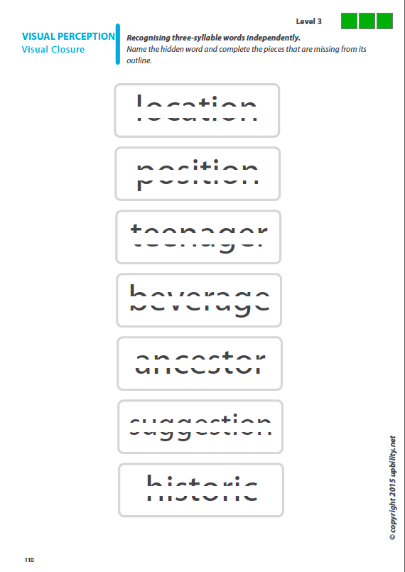 Visual Perception Skills for Children with Dyslexia | SET OF 7 PRINTED BOOKS