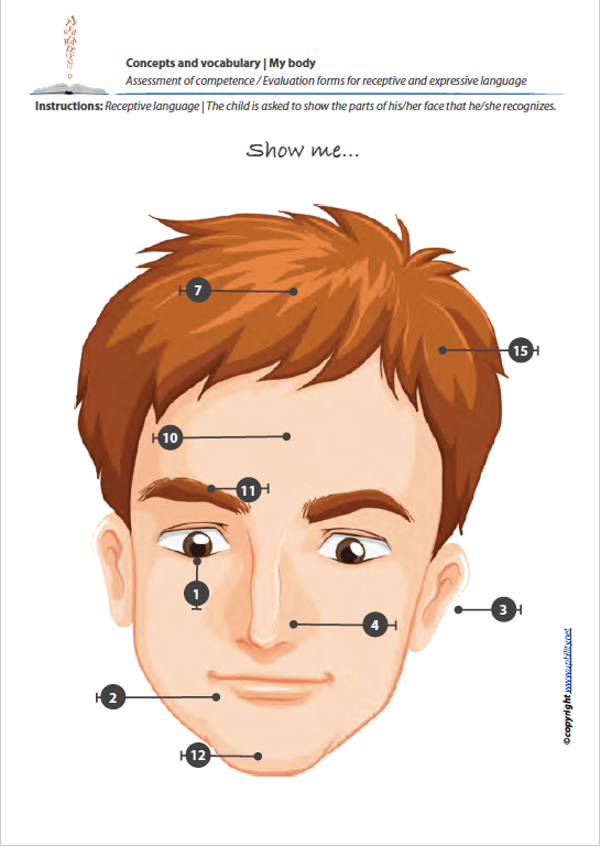 concepts-and-vocabulary-my-body