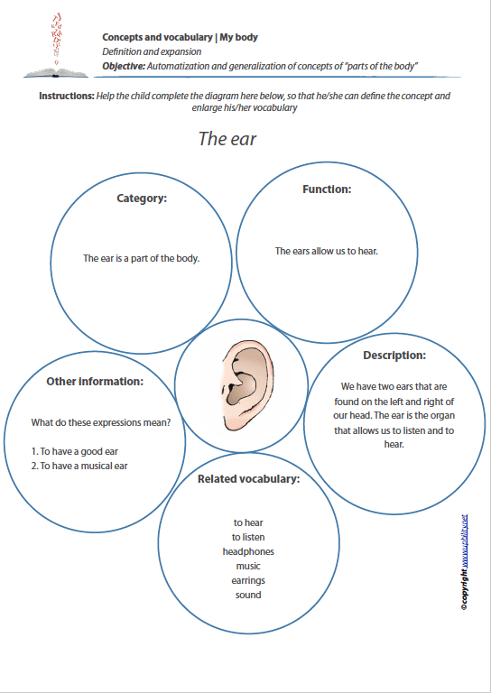 Concepts and vocabulary | MY BODY - Upbility EN