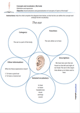 Concepts and vocabulary | MY BODY - Upbility EN