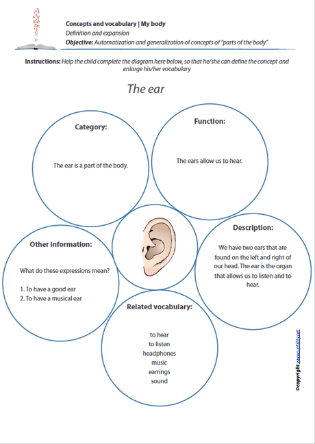 Concepts and vocabulary | MY BODY - Upbility EN