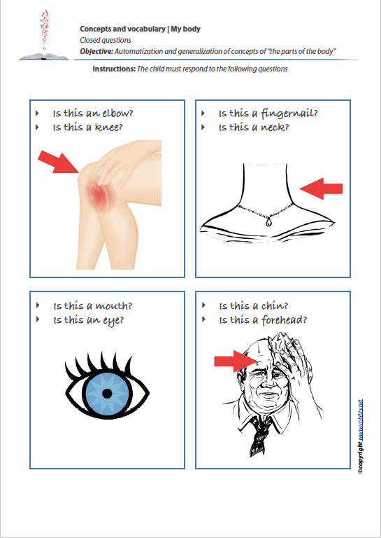 concepts-and-vocabulary-my-body