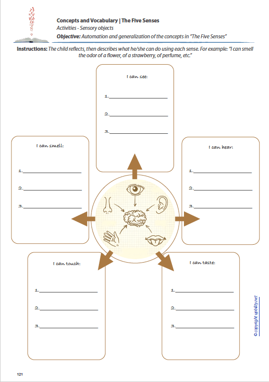 concepts-and-vocabulary-the-five-senses