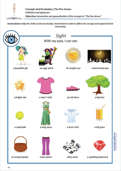 concepts-and-vocabulary-the-five-senses