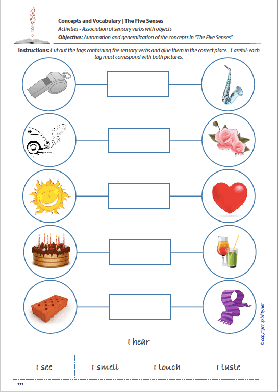 concepts-and-vocabulary-the-five-senses