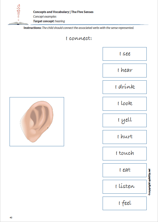 concepts-and-vocabulary-the-five-senses