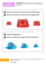 development-of-visual-discrimination