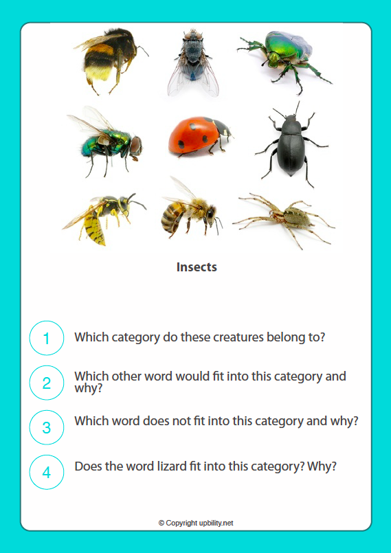 picture-cards-categorising-game-time-to-spark-critical-thinking