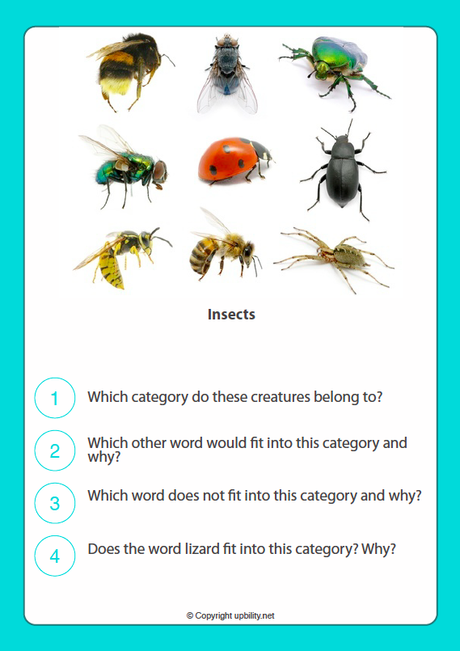 picture-cards-categorising-game-time-to-spark-critical-thinking