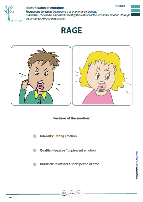 recognising-expressing-regulating-emotions-advanced-level