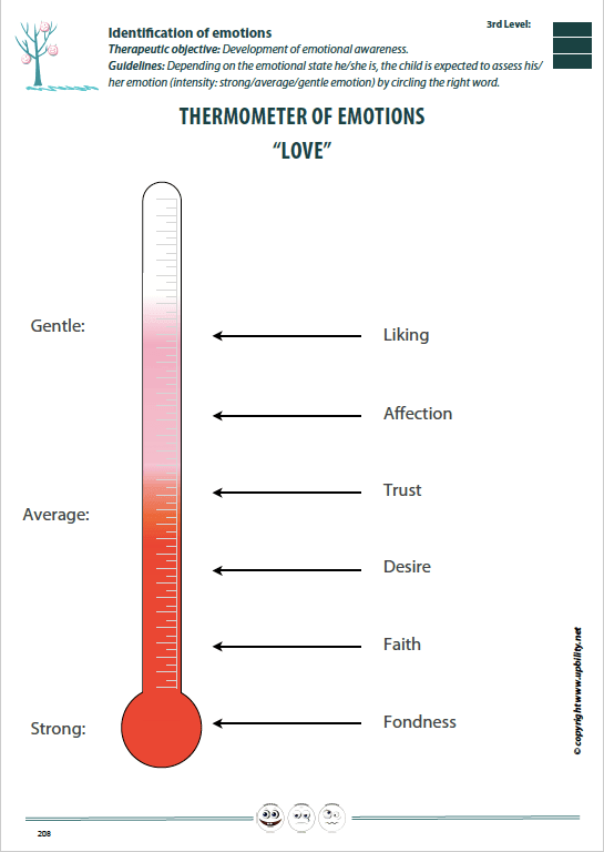 recognising-expressing-regulating-emotions-advanced-level