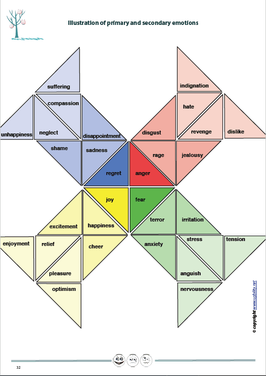 recognising-expressing-regulating-emotions-advanced-level