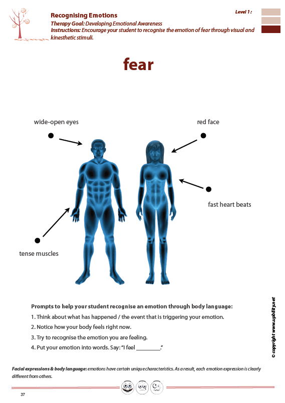 recognising-expressing-regulating-emotions-basic-level