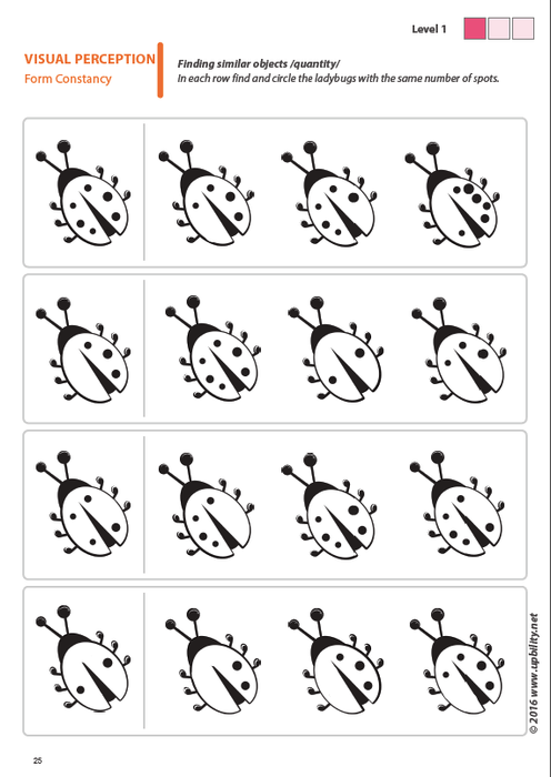 Shape Constancy Grade R Shape Constancy