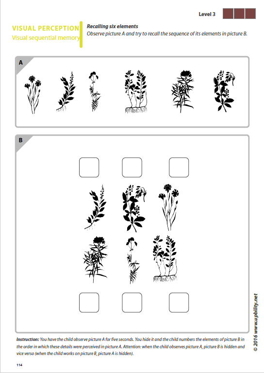 Visual Perception Skills for Children with Dyslexia | PART 5: Visual S ...
